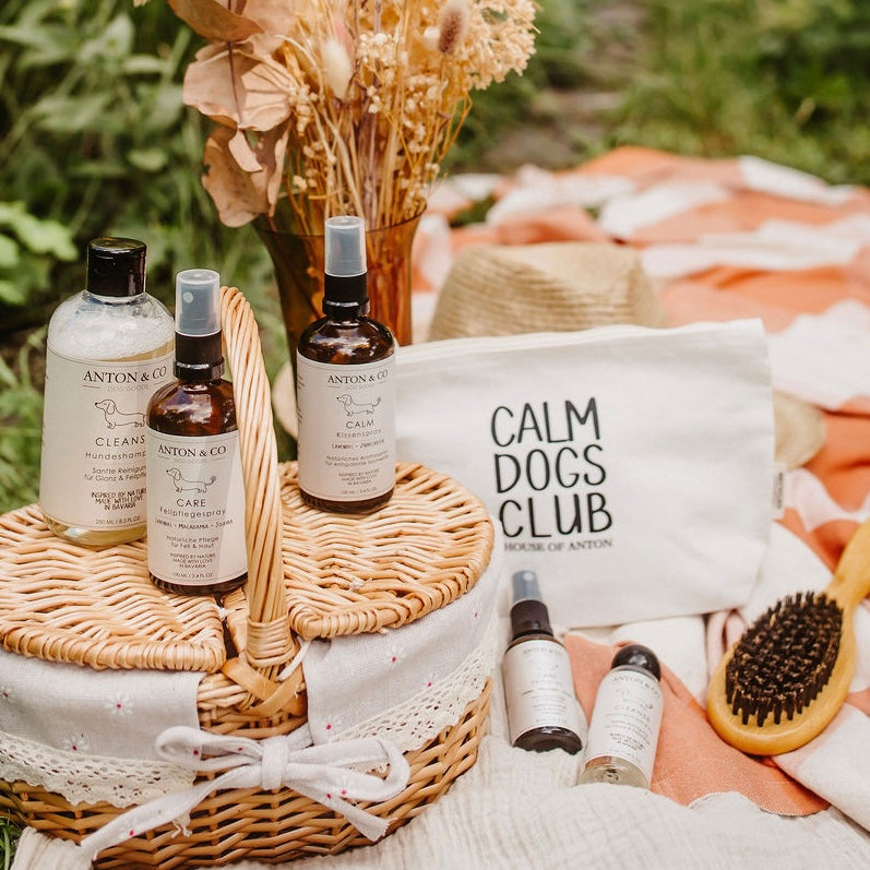 Calm Dogs Club - Reiseset